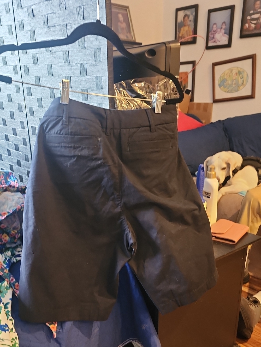 Quince Black Women's Chino Shorts - Picture 3 of 3